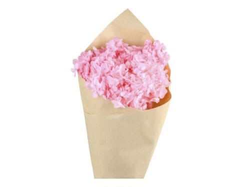 Tørret Hortensia Blomst Pink