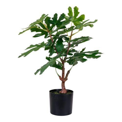 Figentræ – Kunstig plante H50